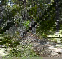 Karloo Walking Track - South Australia Travel