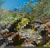 Kroombit Tops National Park - South Australia Travel