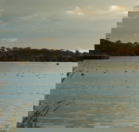 Lake Inverell Reserve - South Australia Travel
