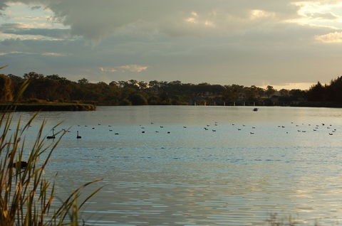 Lake Inverell Reserve - South Australia Travel 0