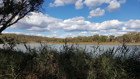 Lake Inverell Reserve - South Australia Travel 1