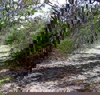 Lanky's Walk - South Australia Travel