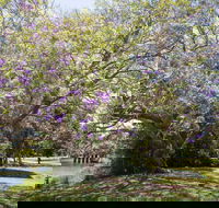 Leis Park - South Australia Travel