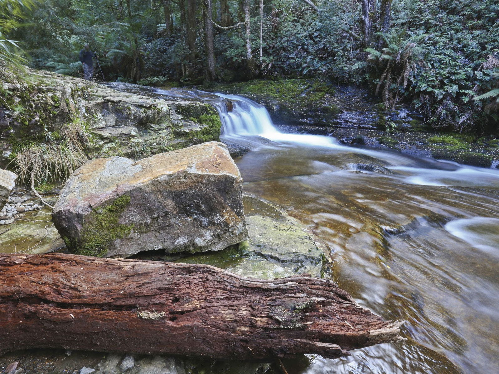 Liffey TAS South Australia Travel