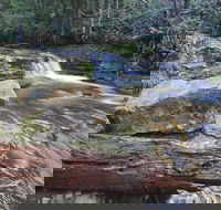 Liffey Falls Reserve - South Australia Travel