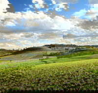 Lions Park Hodgson Vale - South Australia Travel