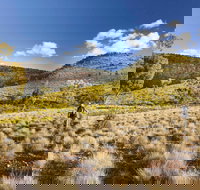 Little Mountain Walking Track - South Australia Travel