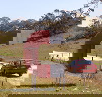 Magnetic Hill - South Australia Travel