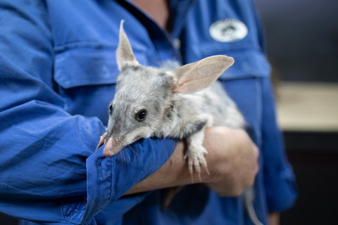 Matilda Way - South Australia Travel 2