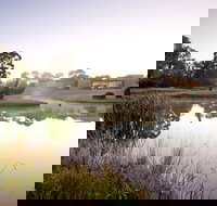 McClelland Sculpture Park  Gallery - South Australia Travel