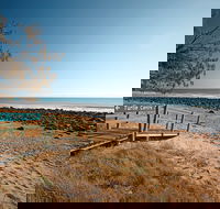 Mon Repos Beach - South Australia Travel