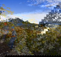 Mount Barney - South Australia Travel