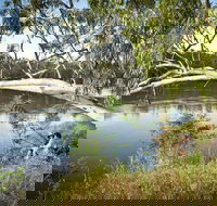 Murray Valley National Park - South Australia Travel