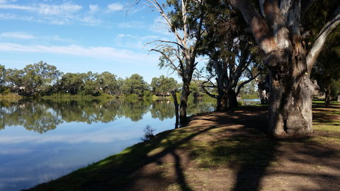 Murray River National Park - Katarapko - South Australia Travel 0