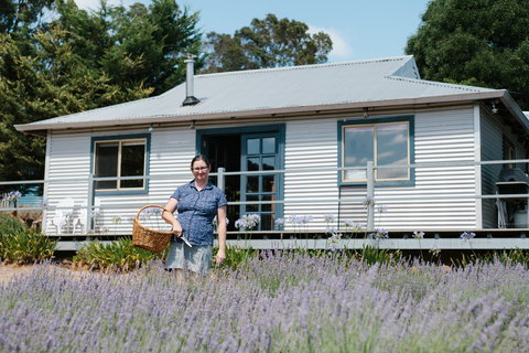 Nannup Lavender Farm - South Australia Travel 1