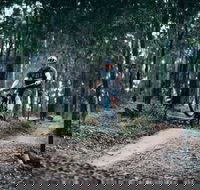 Nerang Mountain Bike Trails - South Australia Travel