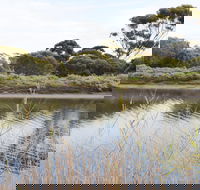 Onkaparinga River Recreation Park - South Australia Travel