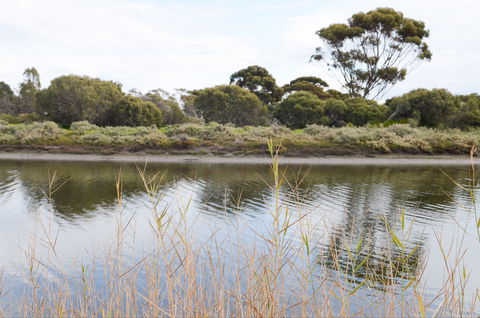 Onkaparinga River Recreation Park - South Australia Travel 0