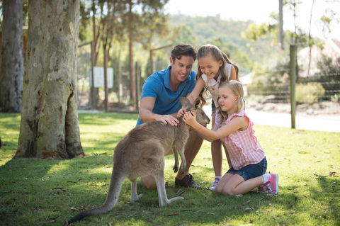 Paradise Country - South Australia Travel 2