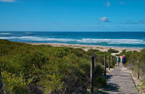 Pelican Beach Road Lookout - South Australia Travel 0