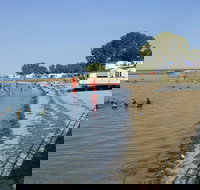 Port Vincent - South Australia Travel