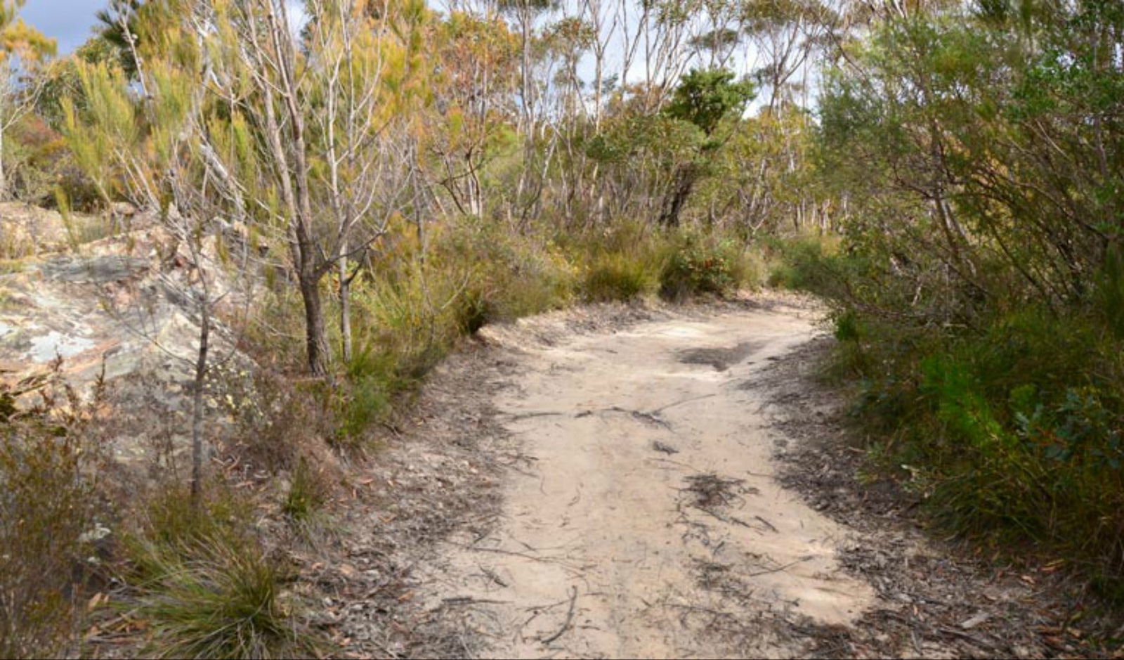 Browns Mountain NSW South Australia Travel