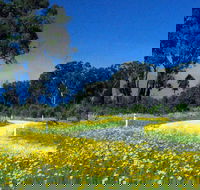 Shearer's Way - South Australia Travel