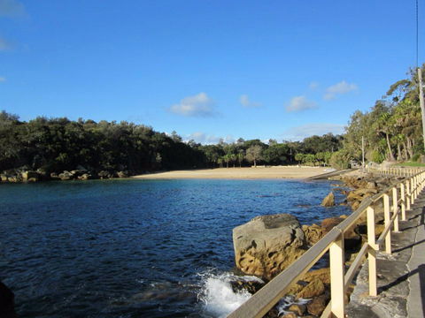Shelly Beach: Manly - South Australia Travel 0