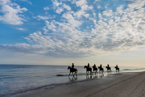 South Coast Experiences - South Australia Travel 2
