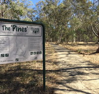 The Pines Conservation Reserve - South Australia Travel