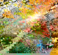 The Blue Mountains Botanic Garden Mount Tomah - South Australia Travel