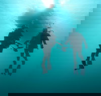 The Arches Marine Sanctuary - South Australia Travel