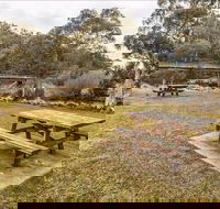 Thredbo River picnic area - South Australia Travel