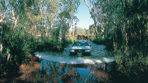 Tjaynera Falls (Sandy Creek) - South Australia Travel 1