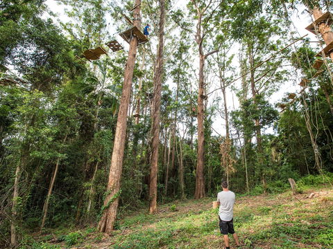 TreeTop Challenge - Sunshine Coast - South Australia Travel 1