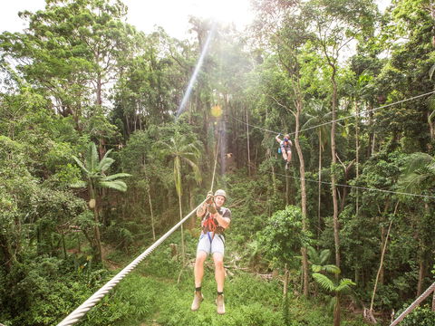 TreeTop Challenge - Sunshine Coast - South Australia Travel 2