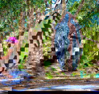 Wagirra Trail and Yindyamarra Sculpture Walk - South Australia Travel