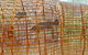 Wagirra Trail And Yindyamarra Sculpture Walk - thumb 2
