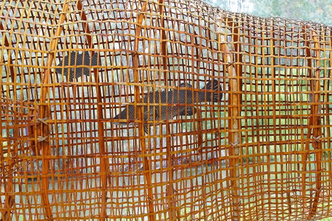 Wagirra Trail And Yindyamarra Sculpture Walk - South Australia Travel 2