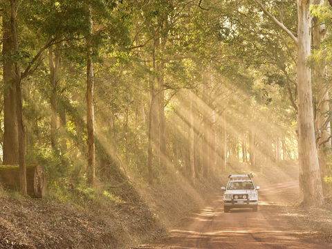 Walpole - South Australia Travel 1