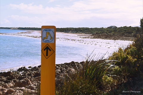 Walk The Yorke Trail - South Australia Travel 2
