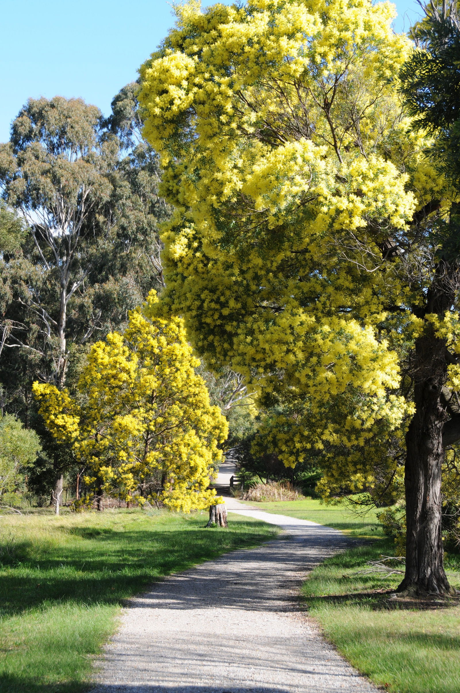 Kilsyth VIC South Australia Travel