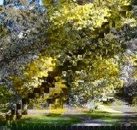 Wattle Park - South Australia Travel