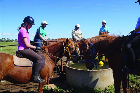 Western Plains Riding Centre - Open - South Australia Travel 0