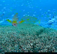 Wreck Bay Dive Site - South Australia Travel