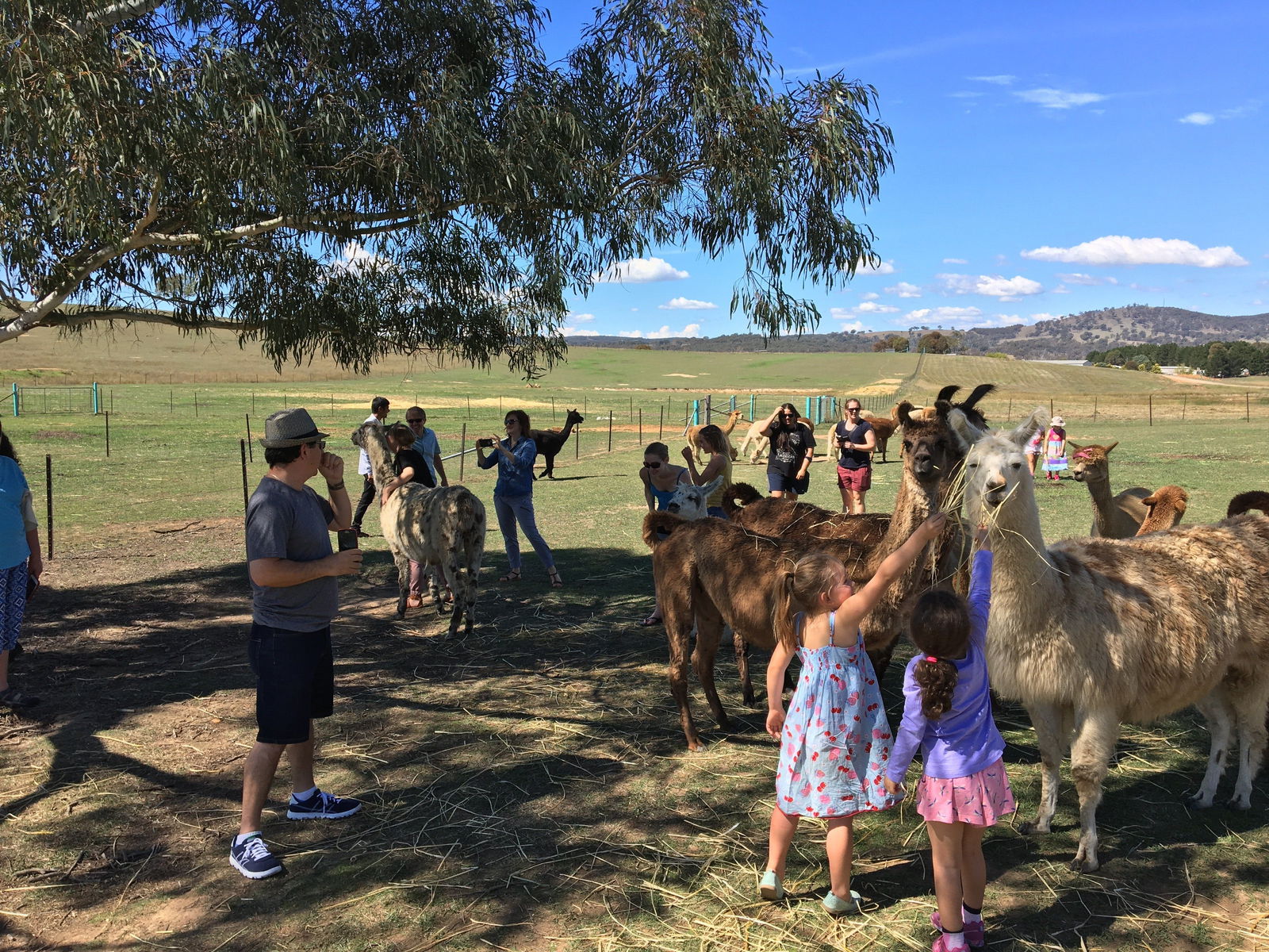 Urila NSW South Australia Travel