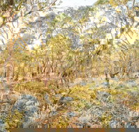 Alpine Views Walk - South Australia Travel