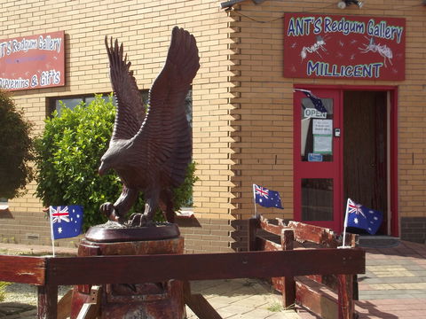 Ant's Redgum Gallery - South Australia Travel 0