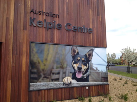 Australian Kelpie Centre - South Australia Travel 0