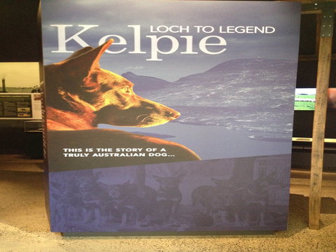 Australian Kelpie Centre - South Australia Travel 1